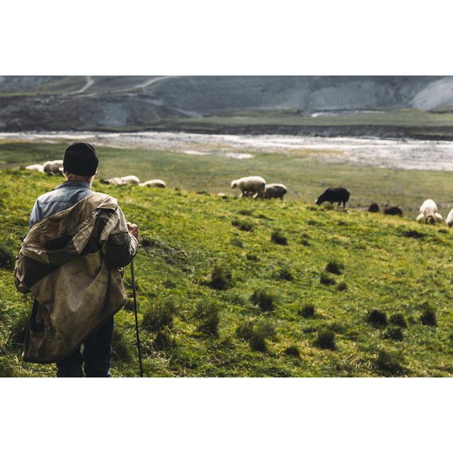 Shepherd With Sheep On The Field In Mountains, Rear View. Agriculture Concept - Wrapped Canvas Print August Grove Size: 81cm H x 122cm W x 3.8cm D on Productcaster.