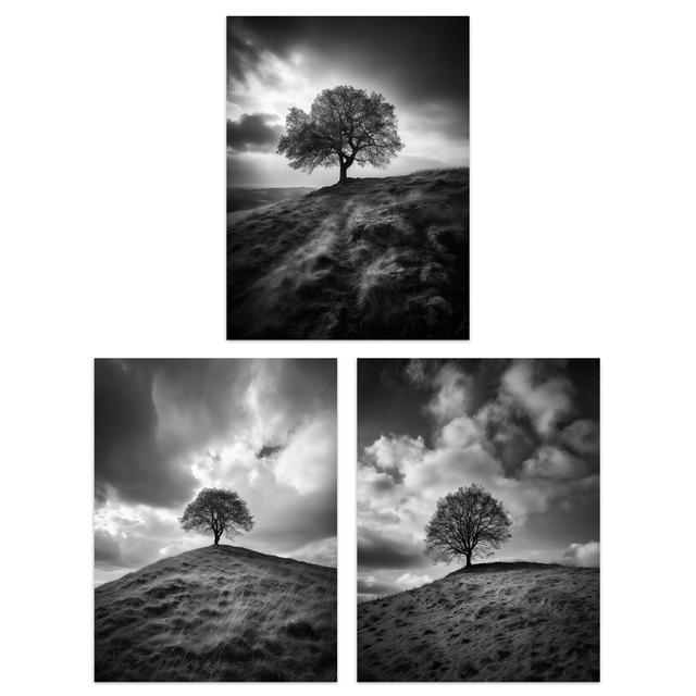 Lone Tree On A Hill Black White Countryside Field Landscape - 3 Piece No Frame Print Set 17 Stories Size: 40.5cm H x 30.5cm W x 0.3cm D on Productcaster.