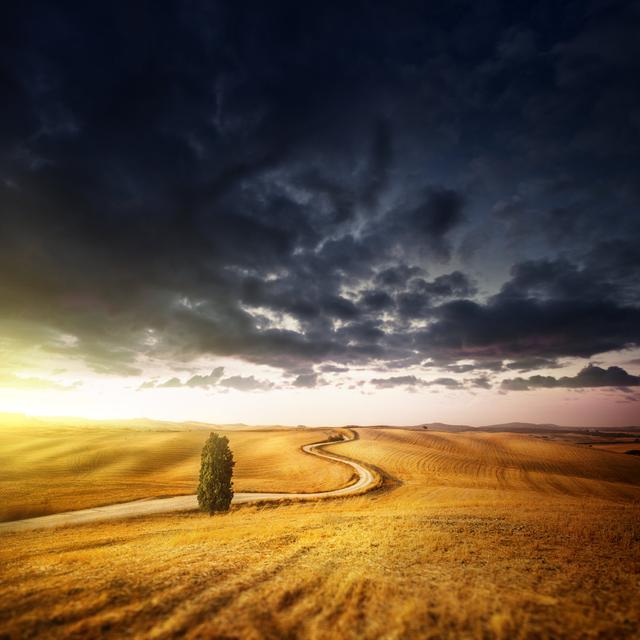 Country Landscape - Fields In The Sunset Sky von Da-kuk - Kunstdrucke auf Leinwand 17 Stories Größe: 80 cm H x 80 cm B on Productcaster.