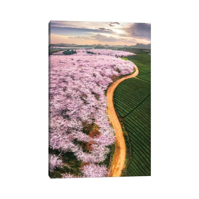 Cherry Blossoms by Tianqi - Wrapped Canvas Print Ebern Designs Size: 45.72cm H x 30.48cm W x 1.905cm D on Productcaster.