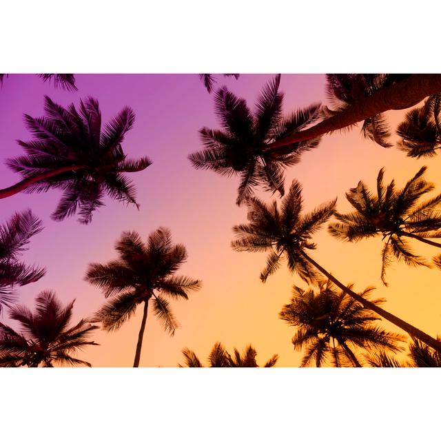 Tropical Trees At Sunset by Apomares - Wrapped Canvas Print 17 Stories Size: 20cm H x 30cm W on Productcaster.