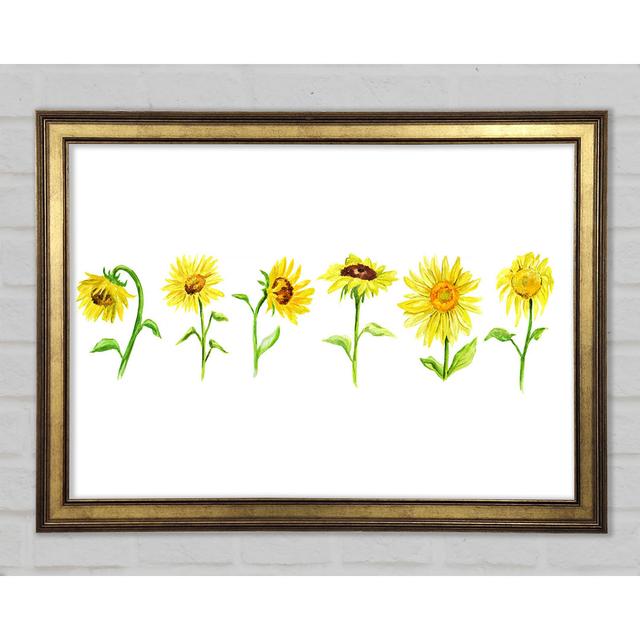 Sunflower Row - Print August Grove Size: 59.7cm H x 84.1cm W x 1.5cm D on Productcaster.