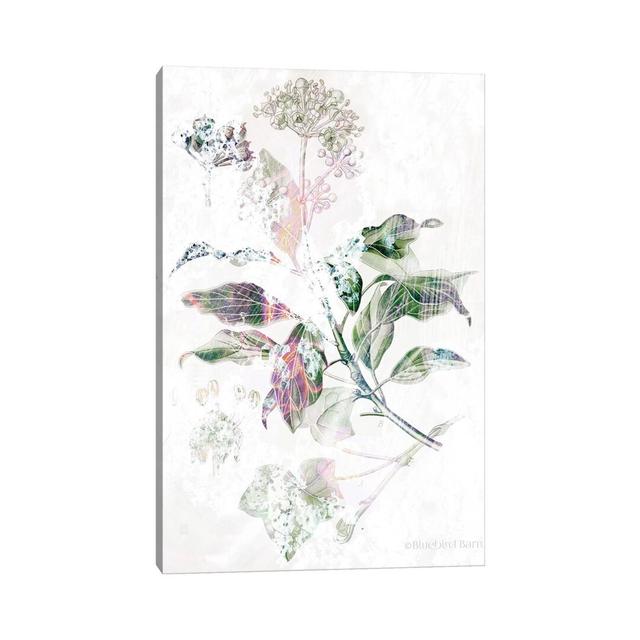 Boho Verbena Botanical by Bluebird Barn - Wrapped Canvas Painting Rosalind Wheeler Size: 66.04cm H x 45.72cm W x 3.81cm D on Productcaster.