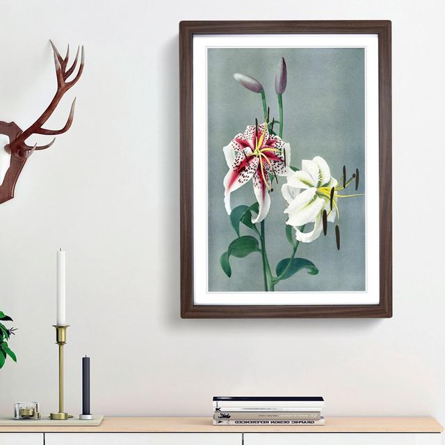 Lily Flowers by Ogawa Kazumasa - Picture Frame Painting Print East Urban Home Size: 48cm H x 36cm W x 2cm D, Frame Option: Walnut Framed on Productcaster.