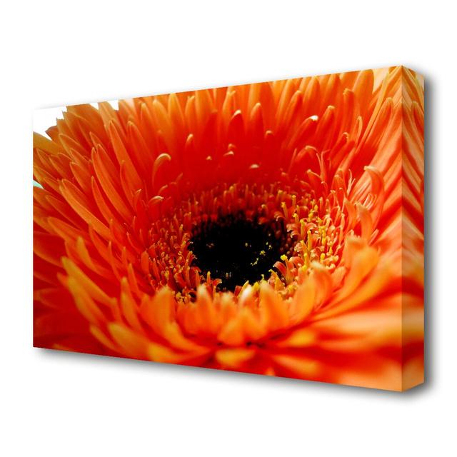 Orange Gerbera Close-Up Flowers Canvas Print Wall Art East Urban Home Size: 101.6 cm H x 142.2 cm W on Productcaster.