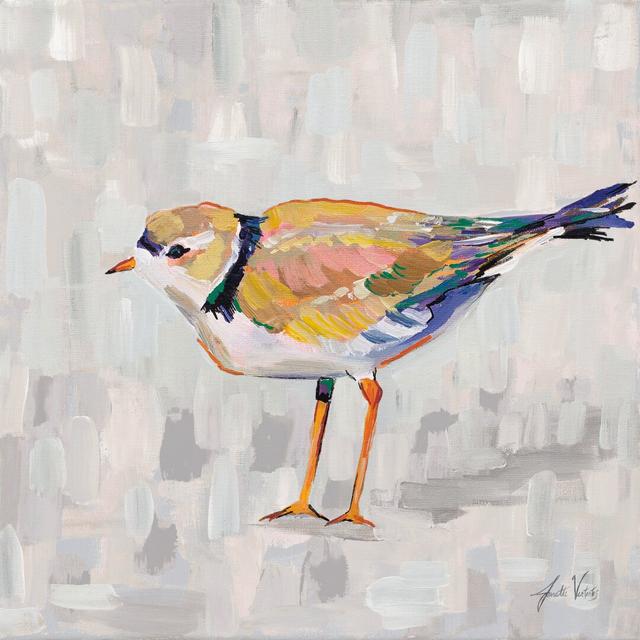 Coastal Plover IV V2 Grey by Jeanette Vertentes - Wrapped Canvas Painting Rosalind Wheeler Size: 76cm H x 76cm W on Productcaster.