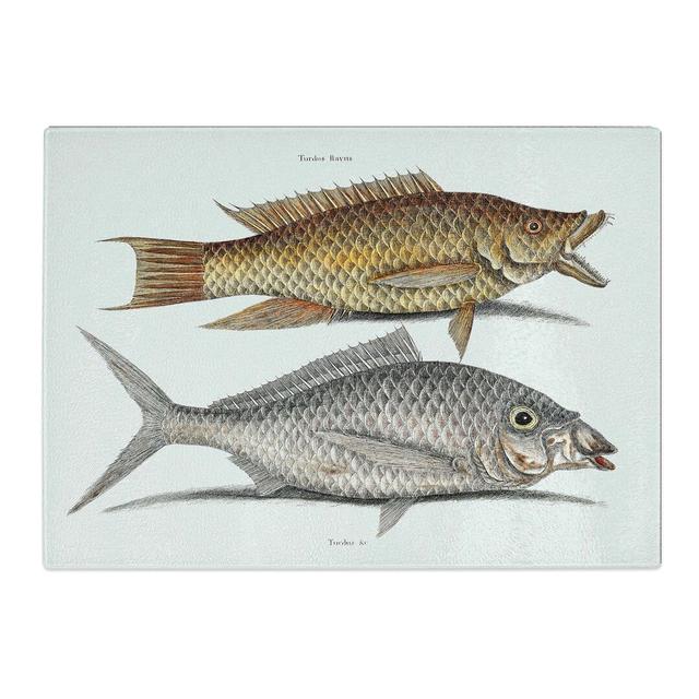 Tempered Glass Hig Fish & Shad Fish by Mark Catesby Chopping Board East Urban Home Size: 28.5 cm x 20 cm on Productcaster.