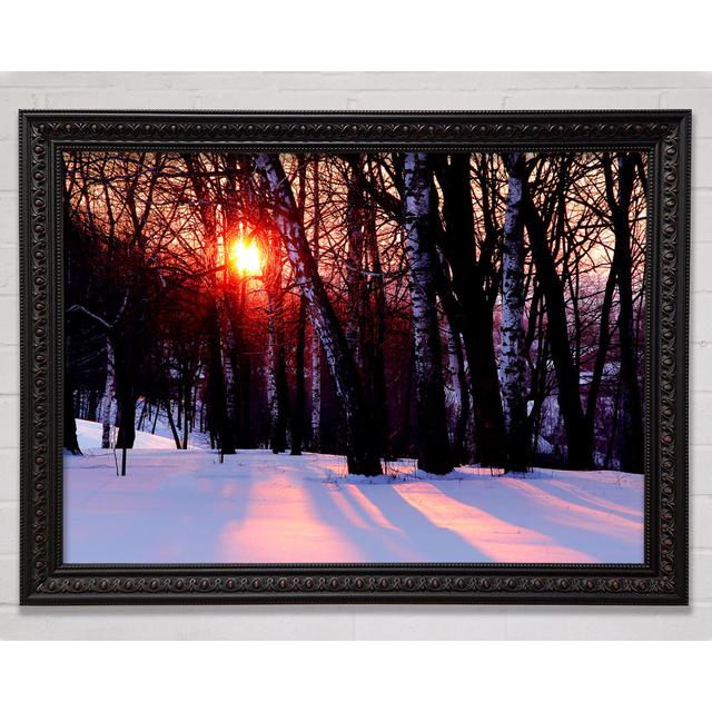 Winter Woodland Sun - Print Bright Star Size: 21cm H x 29.7cm W on Productcaster.