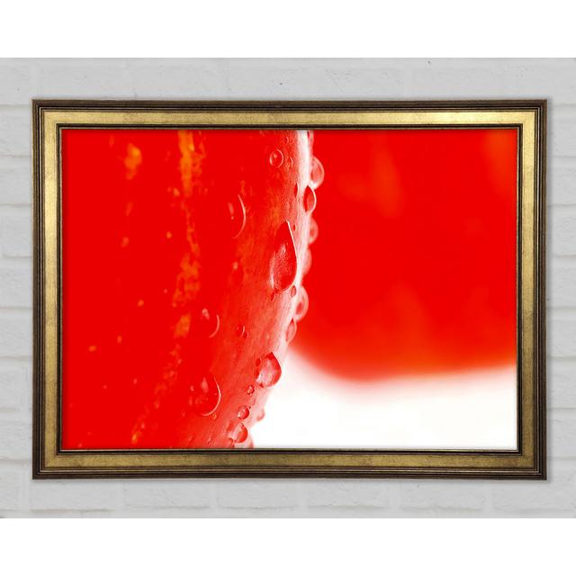 Red Apple Close-up - Single Picture Frame Art Prints Ebern Designs Size: 21cm H x 29.7cm W x 1.5cm D on Productcaster.