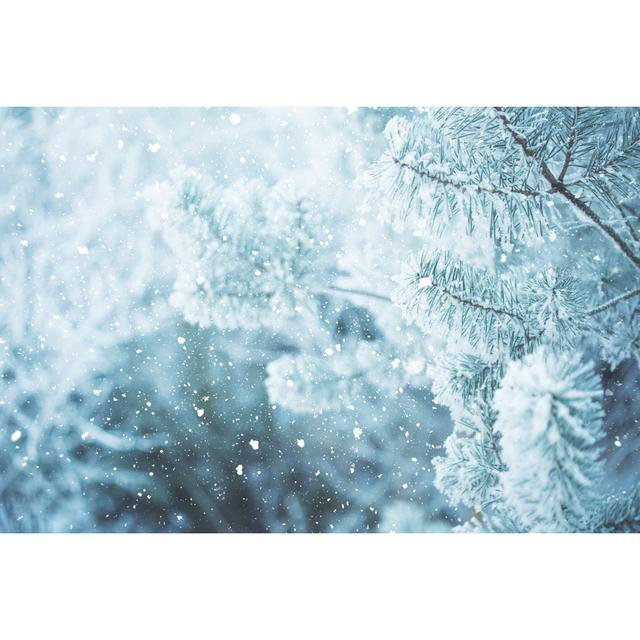 Winter Scene - Frosted Pine Branches. Winter In The Woods by Andrey Danilovich - No Frame Art Prints on Canvas Latitude Run Size: 81cm H x 122cm W on Productcaster.