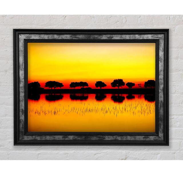 Reflections Of The Sunset Trees Golden - Single Picture Frame Art Prints Bright Star Größe: 59,7 cm H x 84,1 cm B x 8 cm T on Productcaster.