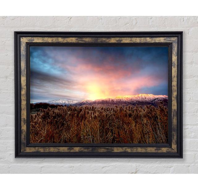 Mt Timpanogos Alpenglow - Single Picture Frame Art Prints Bright Star Size: 42cm H x 59.7cm W on Productcaster.