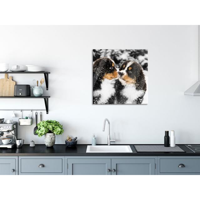 Bernese Mountain Dogs In The Snow - No Frame Print on Glass Ebern Designs Size: 60cm H x 60cm W x 0.4cm D on Productcaster.