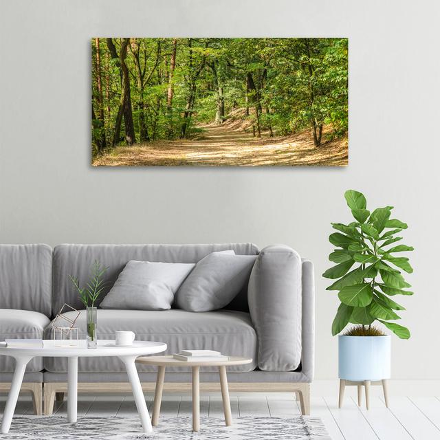 Forest Track - Unframed Art Prints on Canvas Alpen Home on Productcaster.