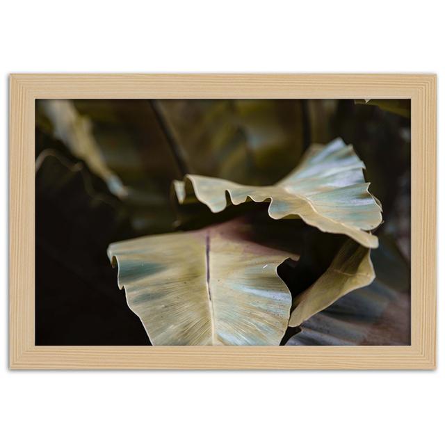 Gerahmter Fotodruck Leaves in the Tropical Sun Sansibar Home Größe: 60 cm H x 90 cm B x 2 cm T on Productcaster.