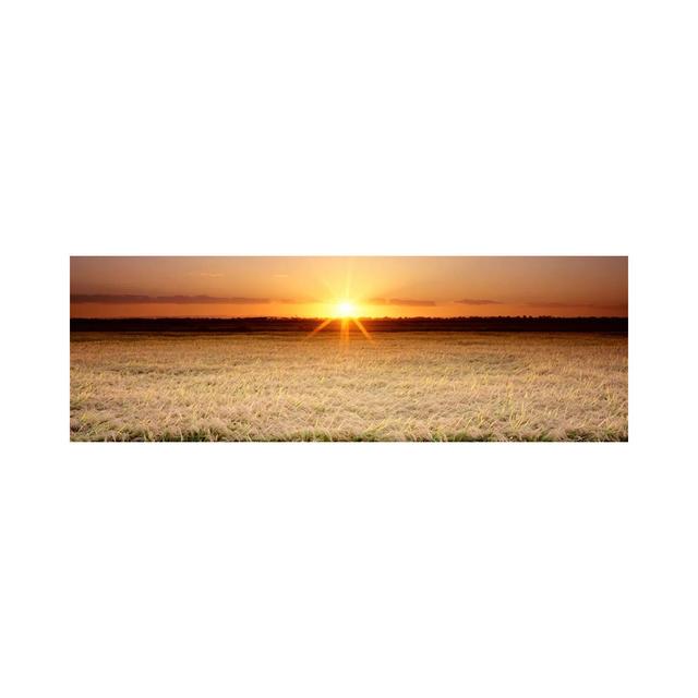 Rice Field, Sacramento Valley, California, USA by Panoramic Images - Wrapped Canvas Panoramic Print August Grove Size: 50.8cm H x 152.4cm W x 3.81cm D on Productcaster.