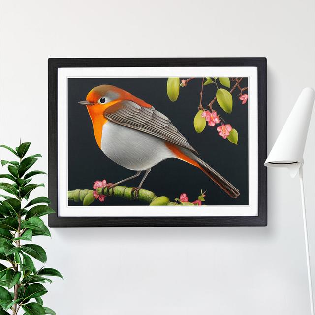 Spellbinding Robin Bird - Picture Frame Graphic Art ClassicLiving Size: 46cm H x 64cm W x 2cm D on Productcaster.