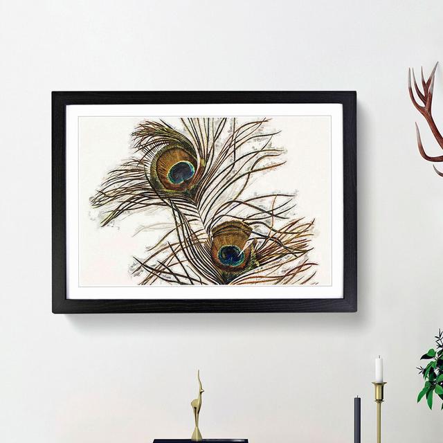 Vintage Peacock Feather Illustration - Picture Frame Painting Print on MDF East Urban Home Frame Option: Black Framed, Size: 36cm H x 48cm W x 2cm D on Productcaster.