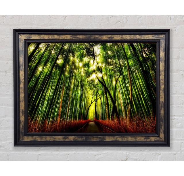 Single Picture Frame Art Prints Bright Star Size: 21cm H x 42cm W on Productcaster.