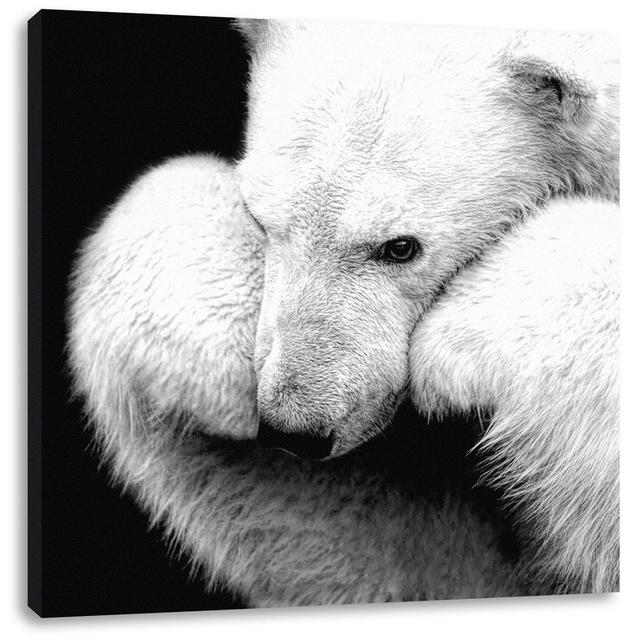 Leinwandbild Brooding Polar Bear Leaning on Paws World Menagerie Größe: 60 cm H x 60 cm B x 1,8 cm T on Productcaster.