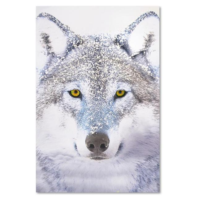 Leinwandbild Wolf Portrait Nature Alpen Home Größe: 40 cm H x 30 cm B on Productcaster.