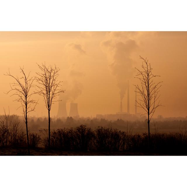 Trees In Smoke by Eucalyptys - Wrapped Canvas Print Alpen Home Size: 20cm H x 30cm W x 3.8cm D on Productcaster.