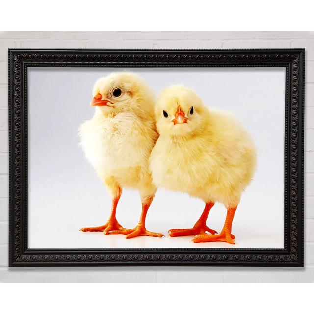 Two Little Chicks Framed Print Bright Star Size: 42cm H x 59.7cm W on Productcaster.