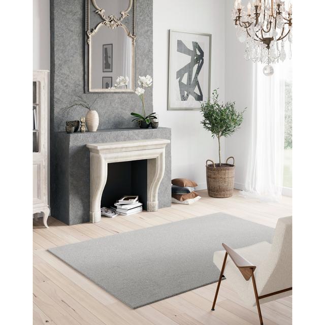 Machine Washable Plain Tufted Grey Rug Willa Arlo Interiors Rug Size: Rectangle 160 x 230cm on Productcaster.