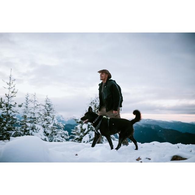 Hiker And Dog In Snow by RyanJLane - No Frame Art Prints on Canvas 17 Stories Size: 51cm H x 76cm W on Productcaster.