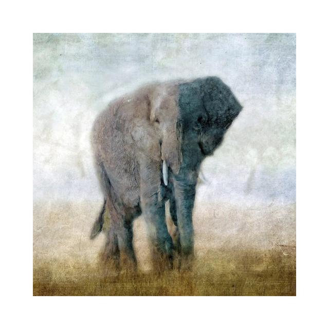 Serengeti Series Elephant by Katrina Jones - Wrapped Canvas Painting Latitude Vive Size: 45.72cm H x 45.72cm W x 3.81cm D on Productcaster.