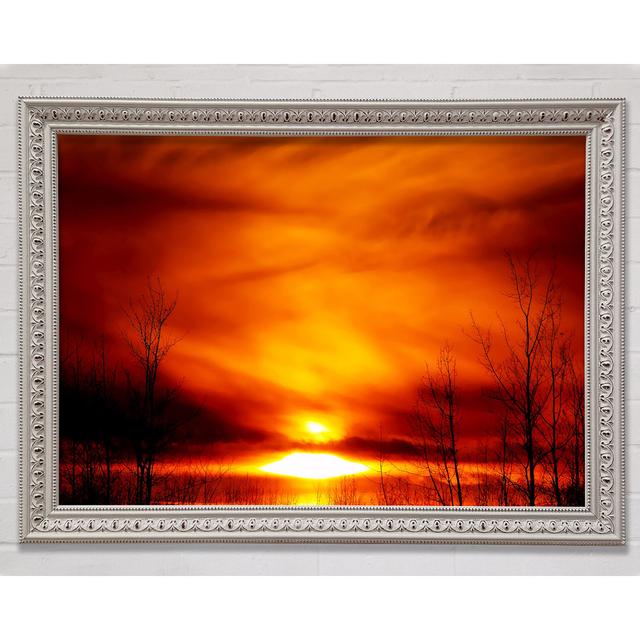 Single Picture Frame Art Prints Bright Star Size: 29.7cm H x 42cm W x 3cm D on Productcaster.