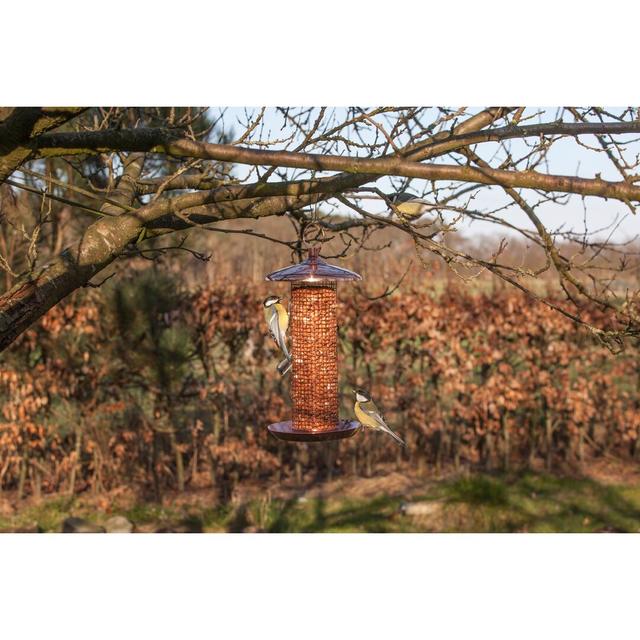 Copper Nut Feeder Brambly Cottage on Productcaster.