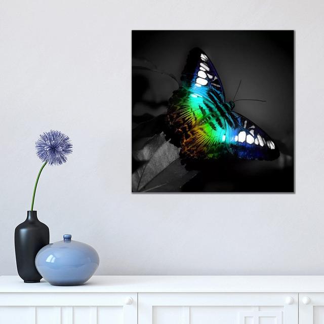 Colourful Butterfly Photographic by Unknown Artist - Wrapped Canvas Painting Latitude Run Size: 45.72cm H x 45.72cm W x 1.91cm D on Productcaster.