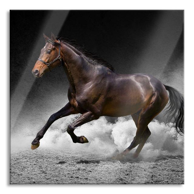 Magnificent Stallion In The Sand - No Frame Print on Glass Gracie Oaks Size: 60cm H x 60cm W x 0.4cm D on Productcaster.