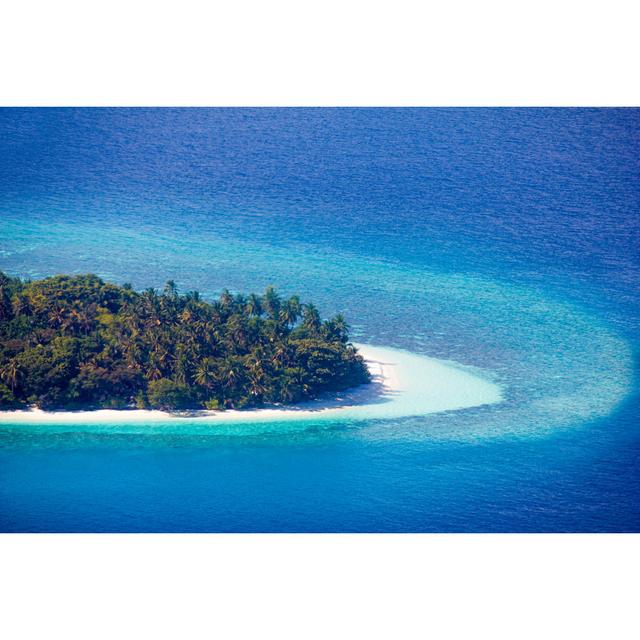 Craine Cousine Island, Seychelles - Wrapped Canvas Photograph House of Hampton Size: 20cm H x 30cm W x 3.8cm D on Productcaster.