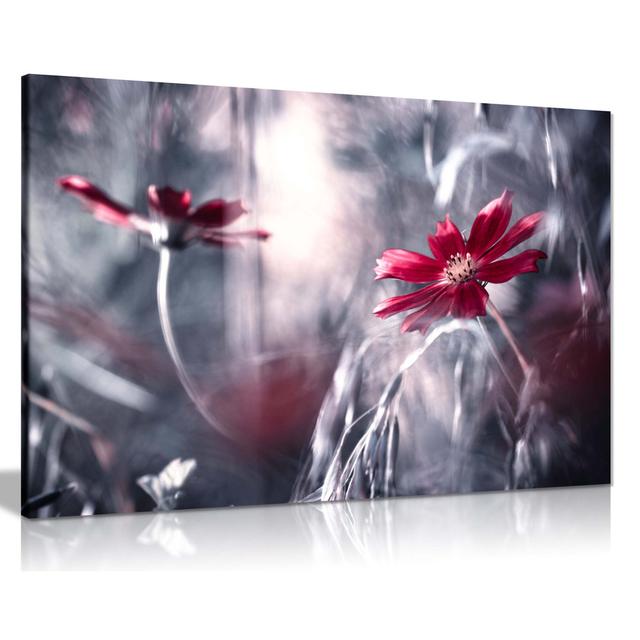 Panther Print Fine Art Prints Red Daisy Flower Reflection Artistic Framed Canvas Print, Pictures For Home Walls, Bedroom, Living Room & Bathroom Decor on Productcaster.