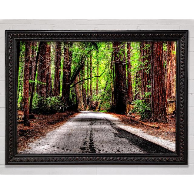 Green Forest Road Framed Print Bright Star Size: 59.7cm H x 84.1cm W x 3cm D on Productcaster.