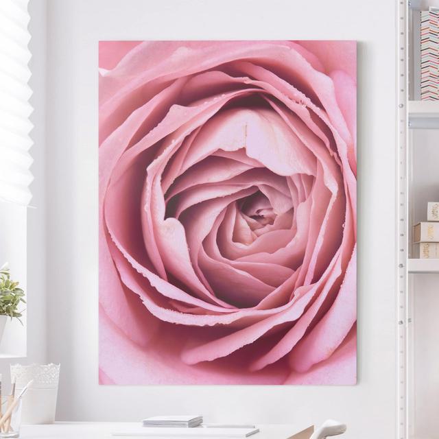 Leinwandbild Rosa Rosenblüte Canora Grey Größe: 40 cm H x 30 cm B, Format: 330g/m² Recycle Canvas on Productcaster.