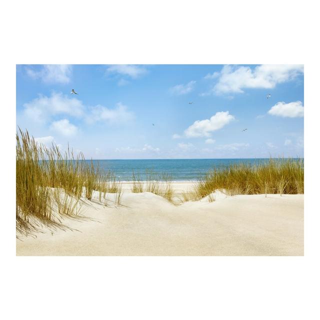 Resaca North Sea Beach 2.25m x 336cm Wallpaper Roll Highland Dunes Size: 2.55m x 3.84m on Productcaster.