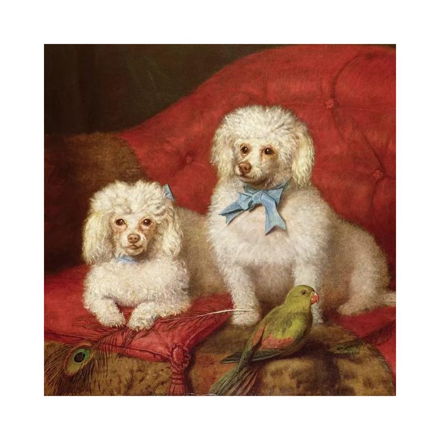 A Pair of Poodles by English School - Wrapped Canvas Graphic Art ClassicLiving Size: 93.98cm H x 93.98cm W x 3.81cm D on Productcaster.