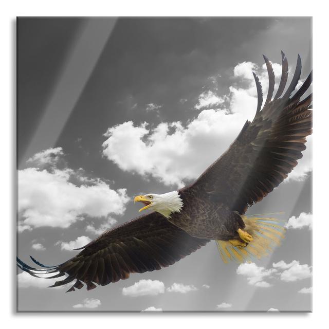 Ungerahmtes Foto auf Glas "Bald Eagle in Flight" Union Rustic Größe: 70 cm H x 70 cm B x 0,4 cm T on Productcaster.