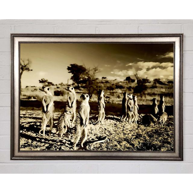 Noisy Meerkats Framed Print Wall Art Brayden Studio Size: 59.7cm H x 84.1cm W x 1.5cm D, Format: Gunmetal Framed Paper on Productcaster.