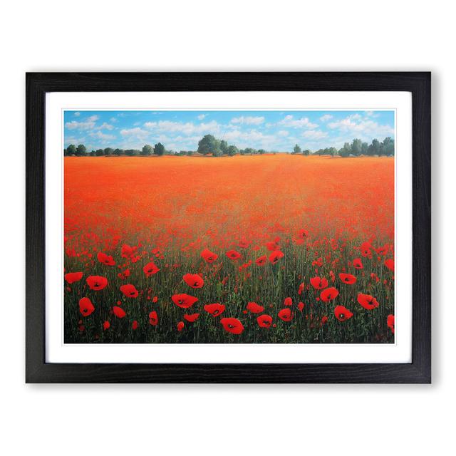 Soothing Poppy Field Flowers - Picture Frame Graphic Art Marlow Home Co. Frame Colour: Black, Size: 34cm H x 46cm W x 2cm D on Productcaster.