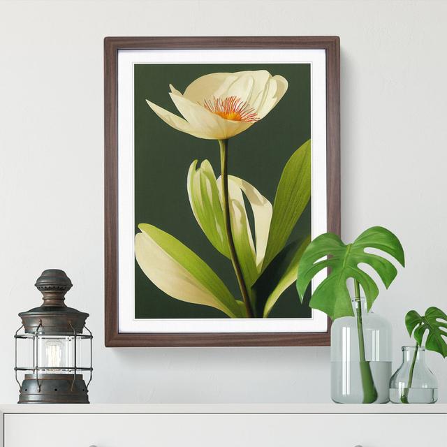 A Seductive Flower - Single Picture Frame Print ClassicLiving Frame Colour: Walnut, Size: 64cm H x 46cm W x 2cm D on Productcaster.