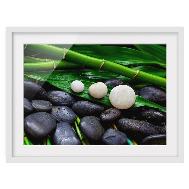 Green Bamboo with Zen Stones - Picture Frame Graphic Art Bloomsbury Market Size: 40cm H x 55cm W x 2cm D, Frame Option: White on Productcaster.