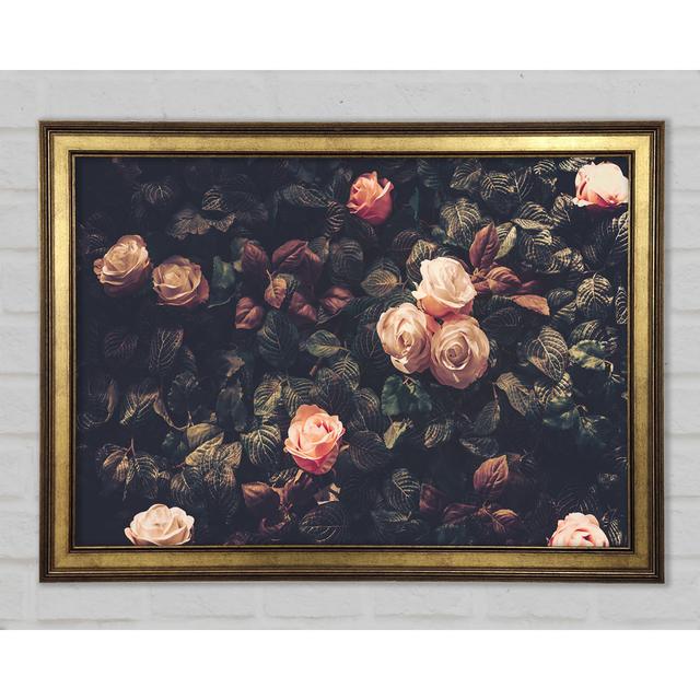 Pale Roses In Soft Greenery - Single Picture Frame Art Prints Rosalind Wheeler Size: 21cm H x 29.7cm W x 1.5cm D on Productcaster.