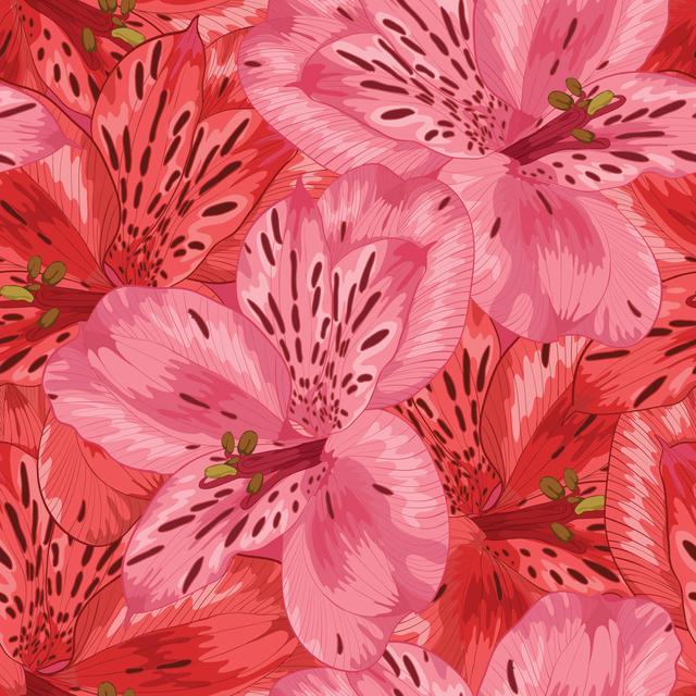 Aavin Pink And Red Alstroemeria - Wrapped Canvas Print 17 Stories Size: 91cm H x 91cm W x 3.8cm D on Productcaster.