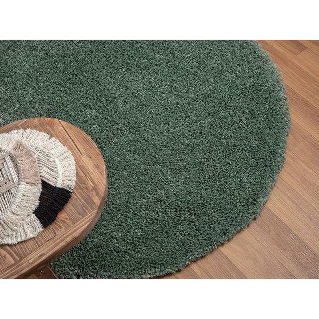 Shaggy-Teppich Lush in Hellgruen 17 Stories Rug Size: Round 150cm on Productcaster.