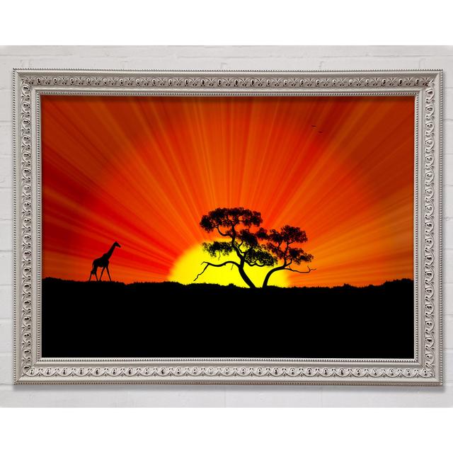 African Sunblaze Gerahmter Druck Wandkunst World Menagerie Größe: 60 cm H x 84 cm B x 3 cm T, Format: Holzbild mit Rahmen in Schwarz on Productcaster.