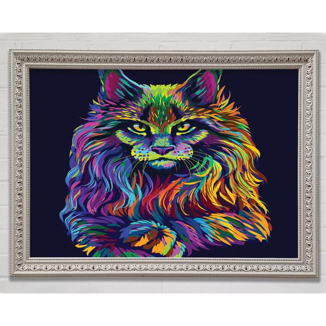 The Maine Cat Framed Print Bright Star Size: 21cm H x 29.7cm W x 3cm D on Productcaster.